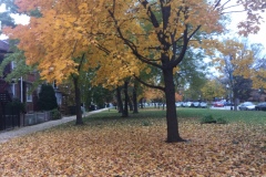 6a_2018-11-05-14.37.20