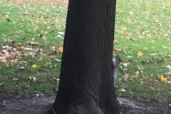 6f_2018-10-28-11.38.52