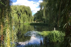 9a_DougllasParkLilyPondPhoto-Aug-21