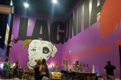 9h_lagunitas_taproom