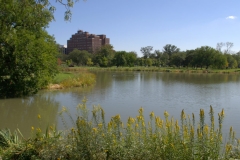 DouglasPark_lagoon_900x704